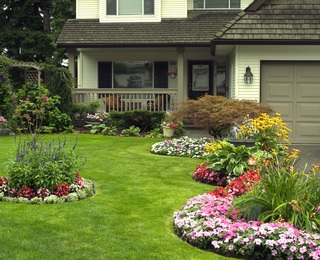 Landscaped Lawn