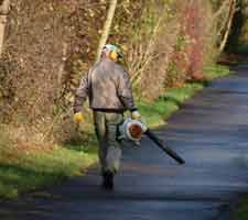 Leaf Blower